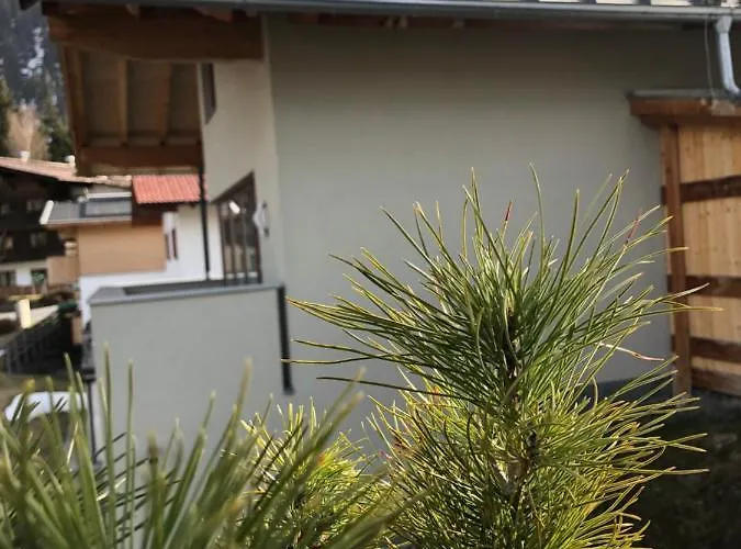 Lenzi לינה וארוחת בוקר סן אנטון